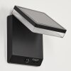 Lonquimai solar wall lamp LED black, 1-light source, Motion sensor