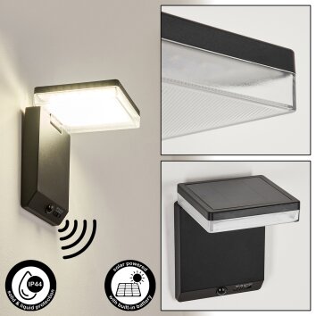 Lonquimai solar wall lamp LED black, 1-light source, Motion sensor