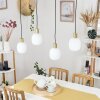 Pintacura Pendant Light brass, 4-light sources