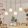 Pintacura Pendant Light brass, 4-light sources