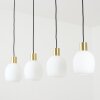 Pintacura Pendant Light brass, 4-light sources