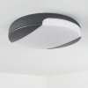 Joserand outdoor ceiling light LED anthracite, 1-light source