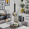 Trezeste Pendant Light black, 1-light source