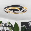 Golega Ceiling Light LED brass, black, 1-light source