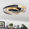 Golega Ceiling Light LED brass, black, 1-light source
