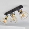 Bitterroot Ceiling Light black, 3-light sources
