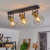 Bitterroot Ceiling Light black, 3-light sources
