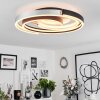 Golega Ceiling Light LED aluminium, black, 1-light source