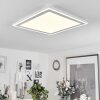 Audrieu Ceiling Light LED white, 2-light sources