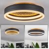 Guine Ceiling Light LED gold, black, 1-light source