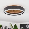 Guine Ceiling Light LED gold, black, 1-light source