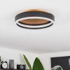 Guine Ceiling Light LED gold, black, 1-light source