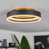 Guine Ceiling Light LED gold, black, 1-light source