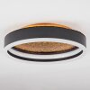 Guine Ceiling Light LED gold, black, 1-light source