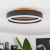 Guine Ceiling Light LED gold, black, 1-light source