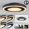 Audrieu Ceiling Light LED black, white, 2-light sources
