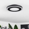 Audrieu Ceiling Light LED black, white, 2-light sources