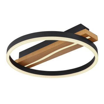 Globo SAHRA Ceiling Light LED black, 1-light source, Remote control