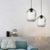 Paul Neuhaus SHITAKE Pendant Light black, 1-light source