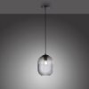 Paul Neuhaus SHITAKE Pendant Light black, 1-light source