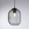 Paul Neuhaus SHITAKE Pendant Light black, 1-light source