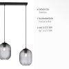 Paul Neuhaus SHITAKE Pendant Light black, 3-light sources