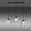 Paul Neuhaus SHITAKE Pendant Light black, 3-light sources