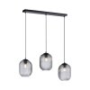 Paul Neuhaus SHITAKE Pendant Light black, 3-light sources
