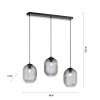 Paul Neuhaus SHITAKE Pendant Light black, 3-light sources