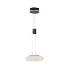 Paul Neuhaus Q-ETIENNE Pendant Light LED black, 1-light source, Remote control