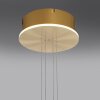 Paul Neuhaus Q-ETIENNE Pendant Light LED brass, 1-light source, Remote control
