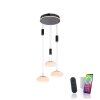 Paul Neuhaus Q-ETIENNE Pendant Light LED black, 3-light sources, Remote control