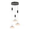 Paul Neuhaus Q-ETIENNE Pendant Light LED black, 3-light sources, Remote control