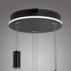 Paul Neuhaus Q-ETIENNE Pendant Light LED black, 3-light sources, Remote control
