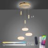 Paul Neuhaus Q-ETIENNE Pendant Light LED brass, 3-light sources, Remote control