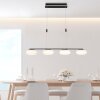 Paul Neuhaus Q-ETIENNE Pendant Light LED black, 4-light sources, Remote control