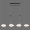 Paul Neuhaus Q-ETIENNE Pendant Light LED black, 4-light sources, Remote control