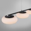 Paul Neuhaus Q-ETIENNE Pendant Light LED black, 4-light sources, Remote control