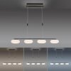 Paul Neuhaus Q-ETIENNE Pendant Light LED black, 4-light sources, Remote control