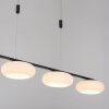 Paul Neuhaus Q-ETIENNE Pendant Light LED black, 4-light sources, Remote control