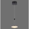 Paul Neuhaus LAUTADA Pendant Light LED black, 1-light source