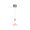 Paul Neuhaus LAUTADA Pendant Light LED brushed steel, 1-light source