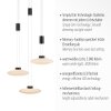 Paul Neuhaus LAUTADA Pendant Light LED black, 3-light sources