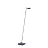 Paul Neuhaus PURE-MIRA Floor Lamp LED black, 1-light source, Remote control