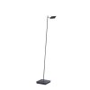 Paul Neuhaus PURE-MIRA Floor Lamp LED black, 1-light source, Remote control