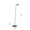 Paul Neuhaus PURE-MIRA Floor Lamp LED black, 1-light source, Remote control