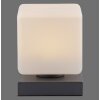 Paul Neuhaus DADOA Table lamp LED anthracite, 1-light source