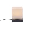 Paul Neuhaus DADOA Table lamp LED anthracite, 1-light source