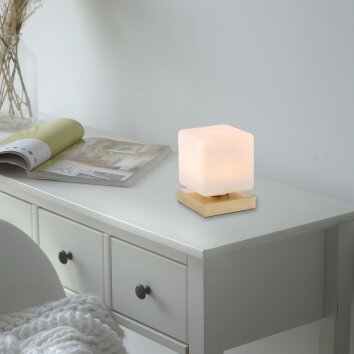 Paul Neuhaus DADOA Table lamp LED brass, 1-light source