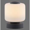 Paul Neuhaus BOTA Table lamp LED anthracite, 1-light source